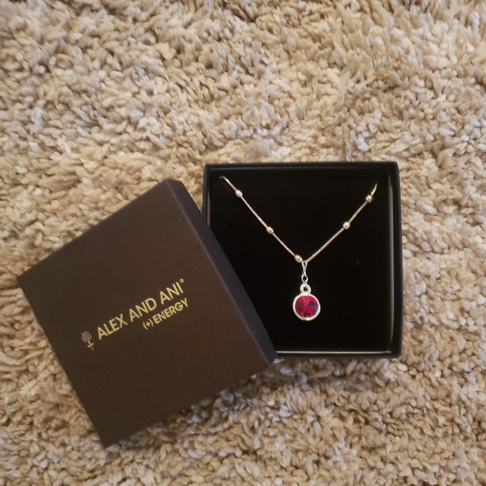 Alex and Ani (+) Energy Necklace w/ Red Charm
